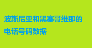 波斯尼亚和黑塞哥维那的电话号码数据 