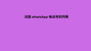 法国 whatsApp 电话号码列表